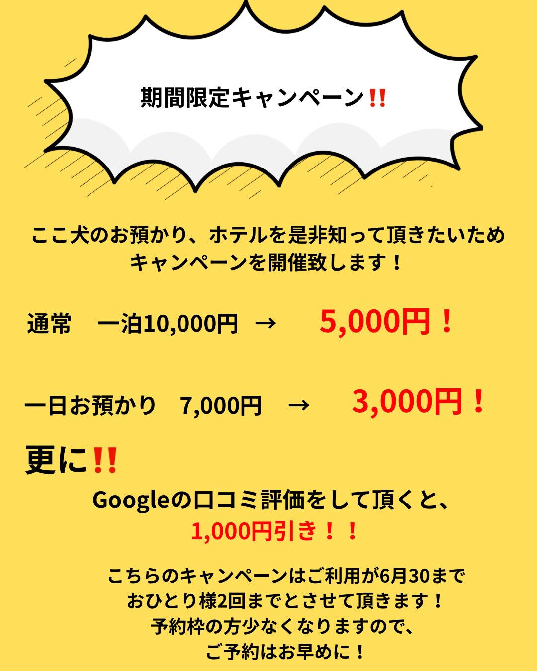 ここ犬のお預かり、ホテル始まります！