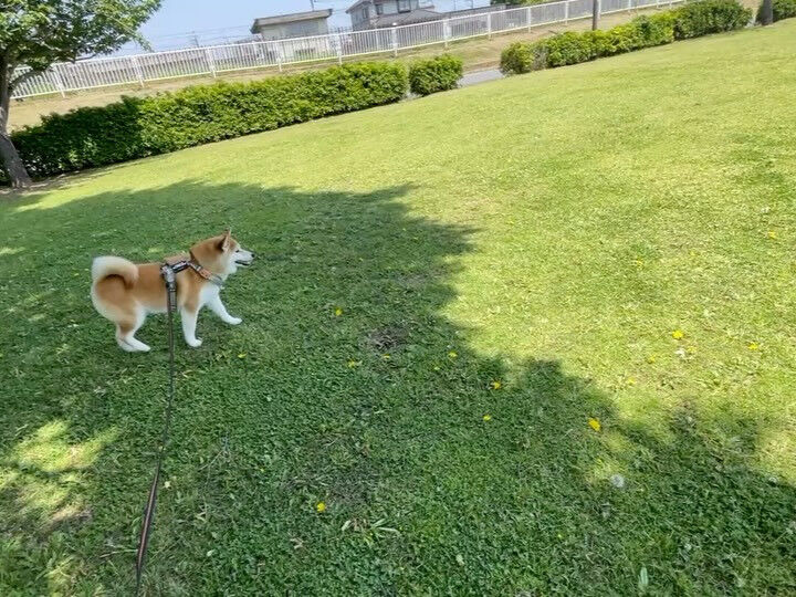 5/15のお預かり