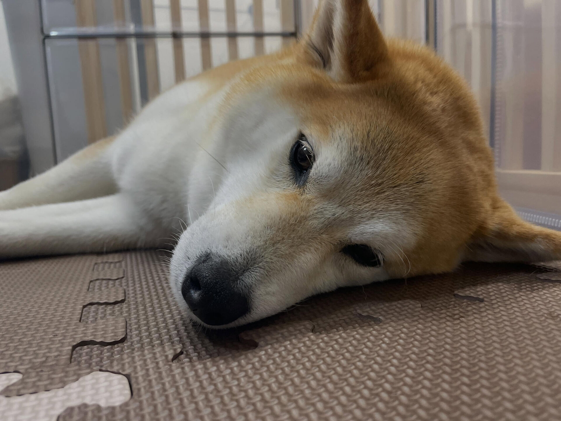 5/15のお預かり