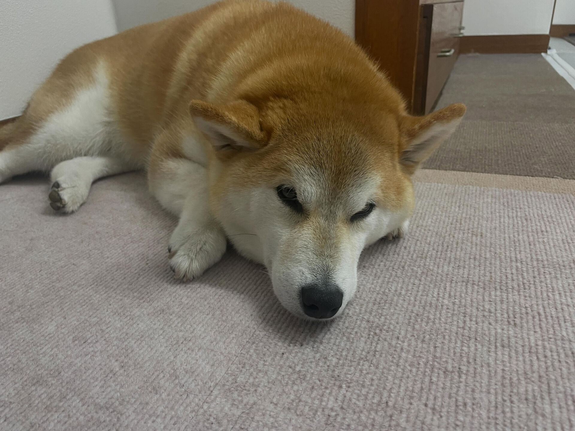6/15のお預かり