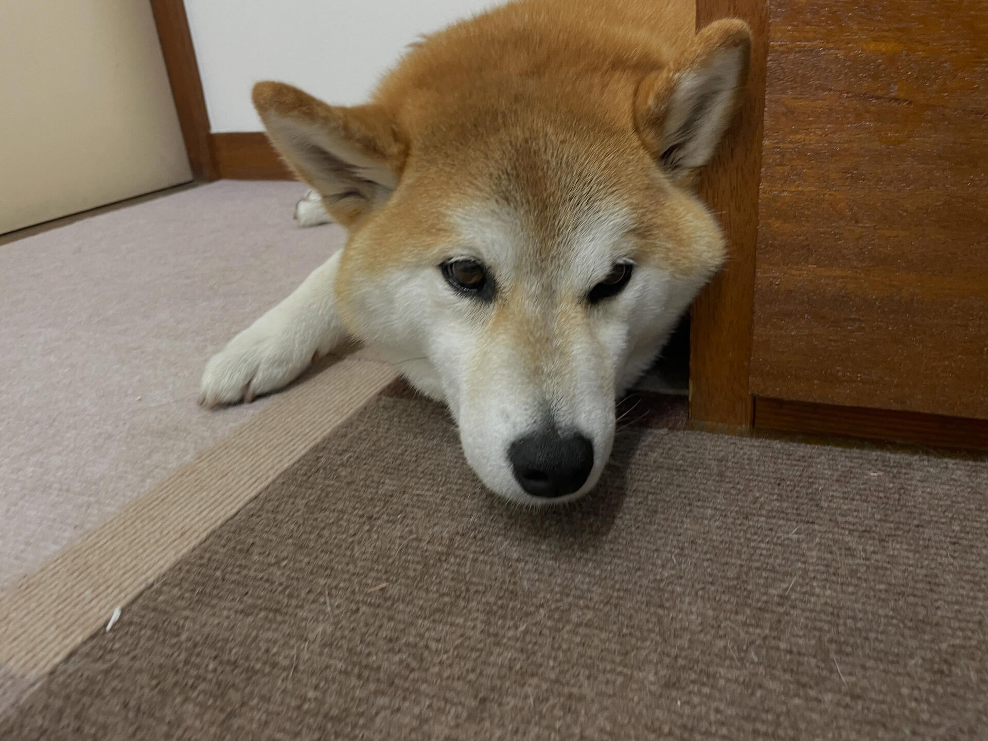 6/15のお預かり