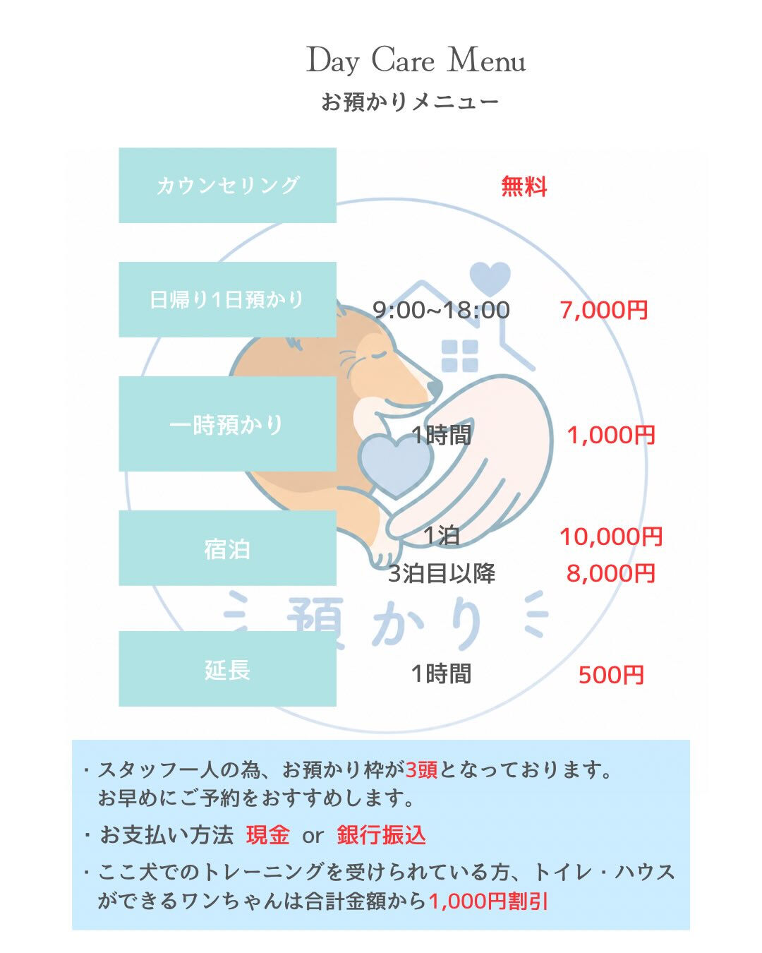こんにちは、ここ犬です🐾