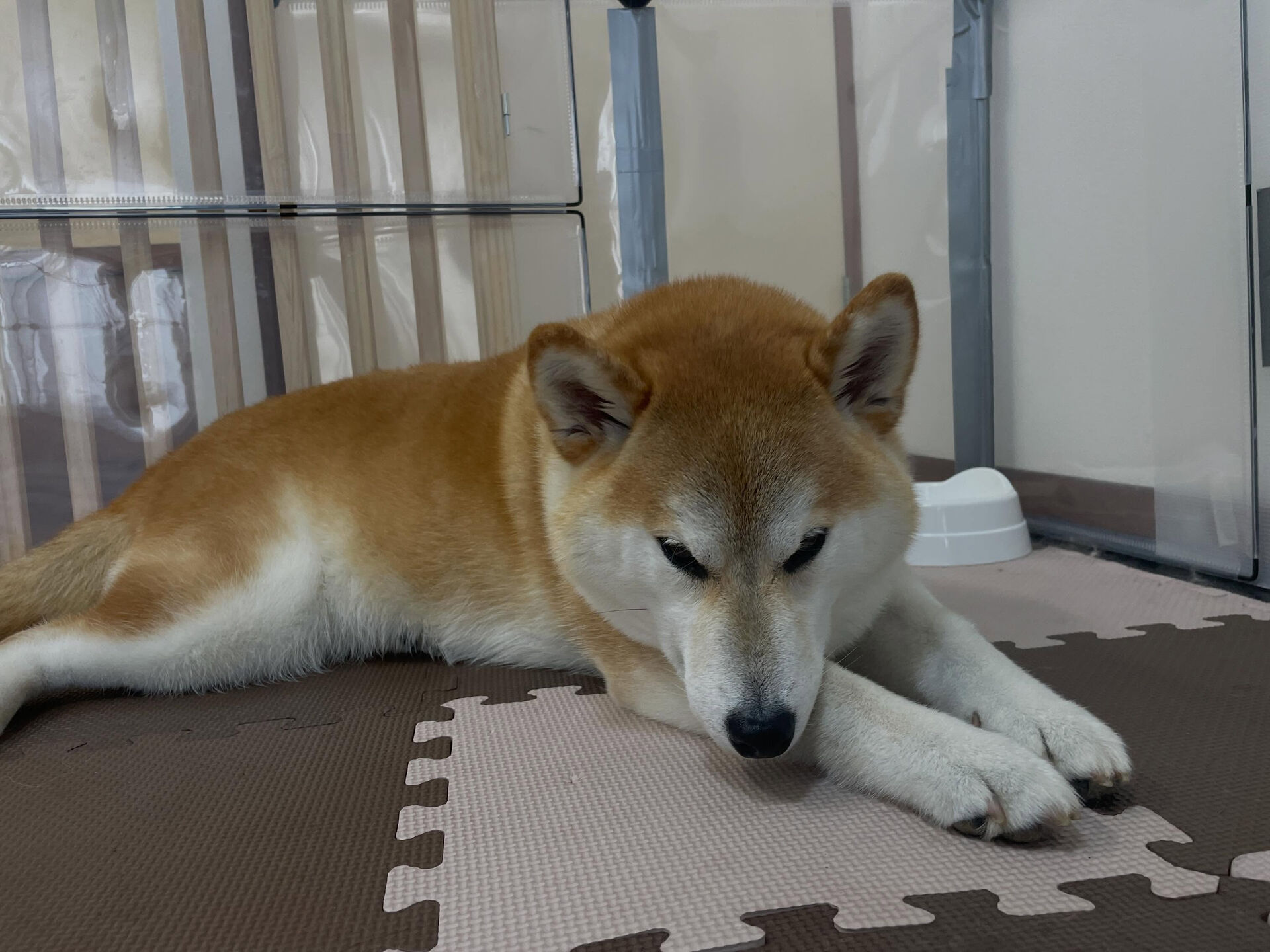 6/22のお預かり