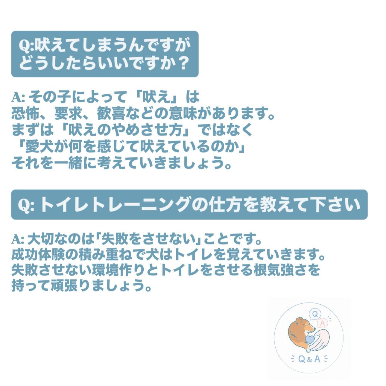 🐾しつけについてのQ＆A🐾