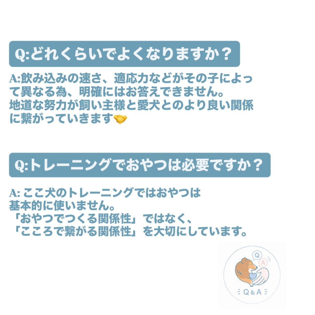 🐾しつけについてのQ＆A🐾