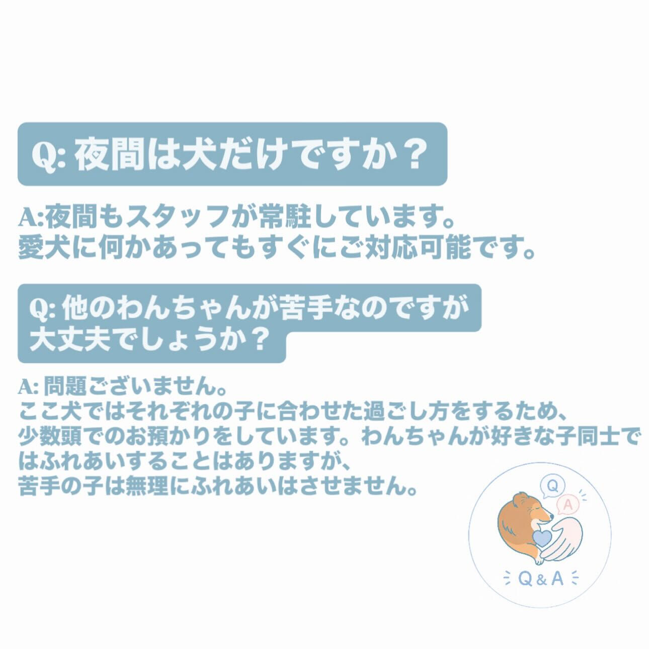 🐾ホテルについてのQ＆A🐾
