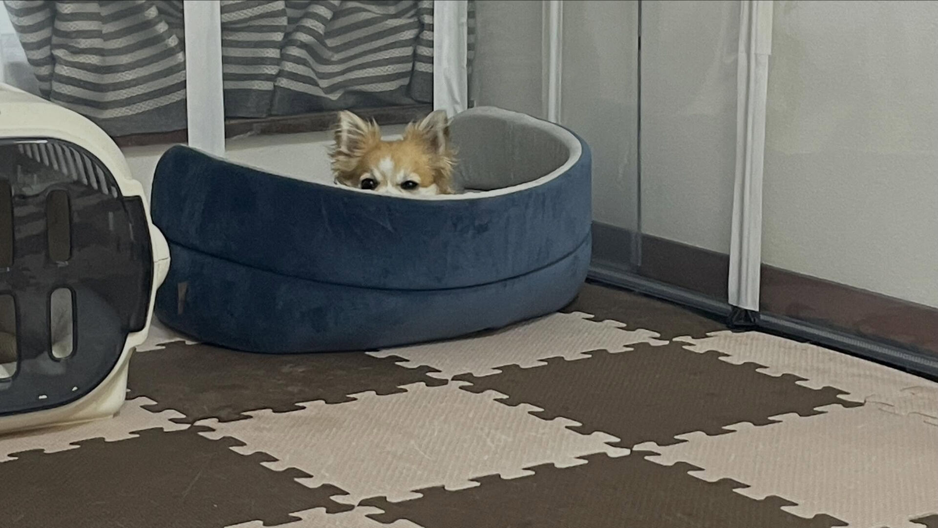 6/24のお預かり