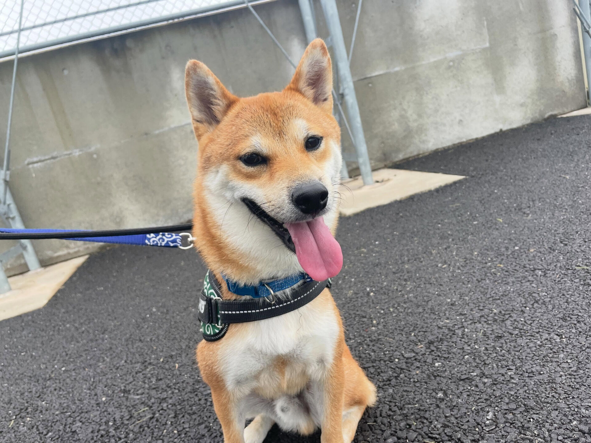 6/26〜6/27のお泊まり