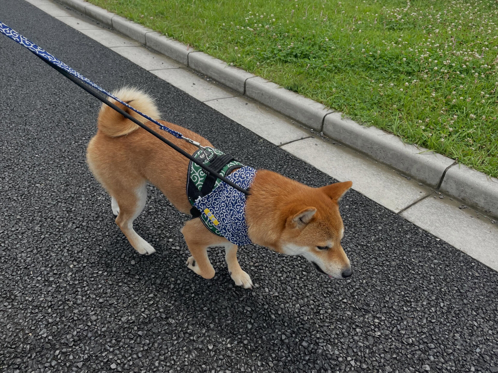 6/26〜6/27のお泊まり