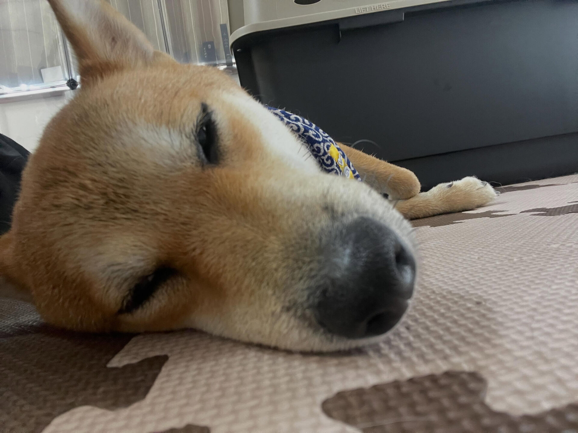6/26〜6/27のお泊まり
