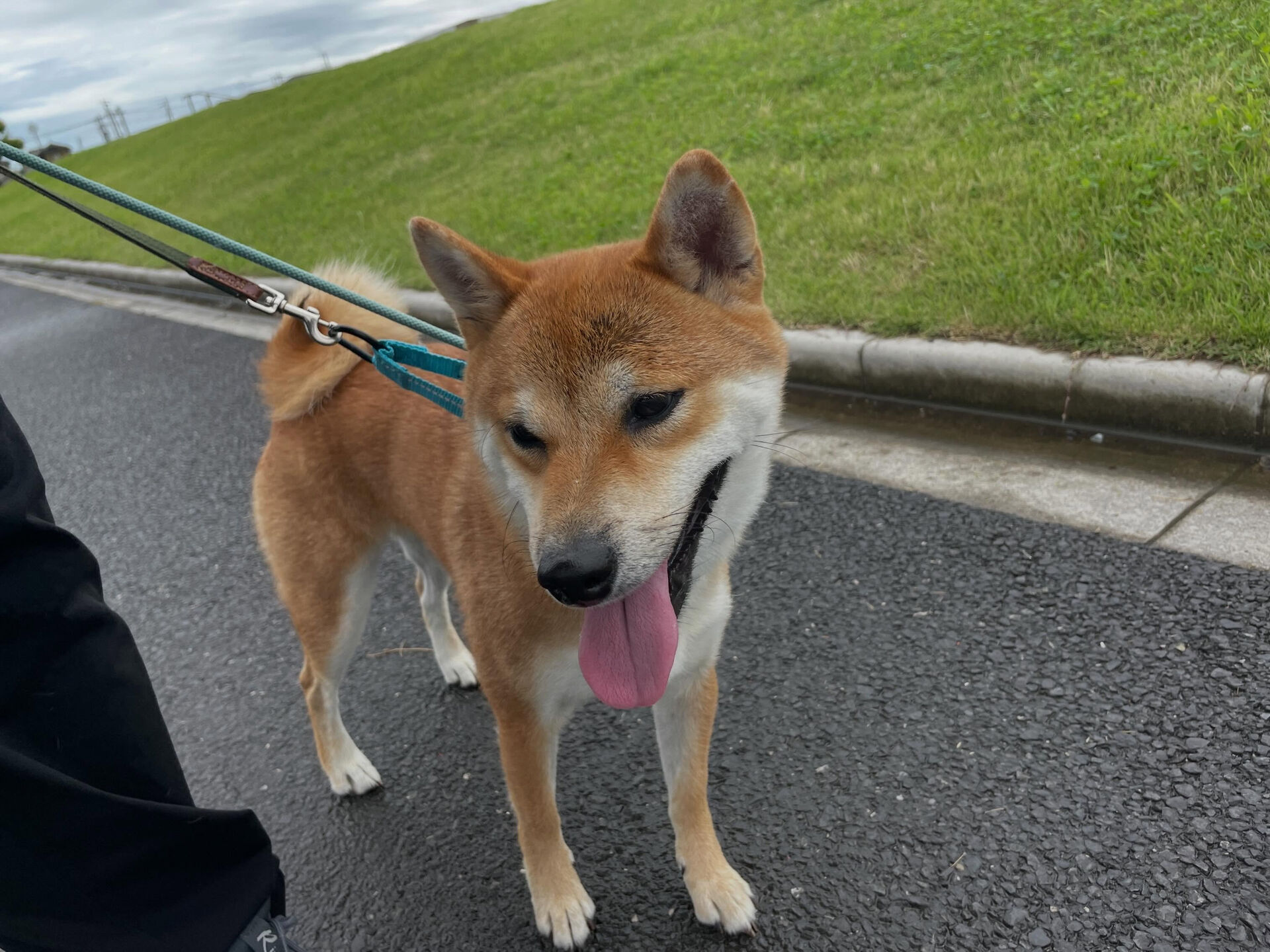6/26〜6/27のお泊まり