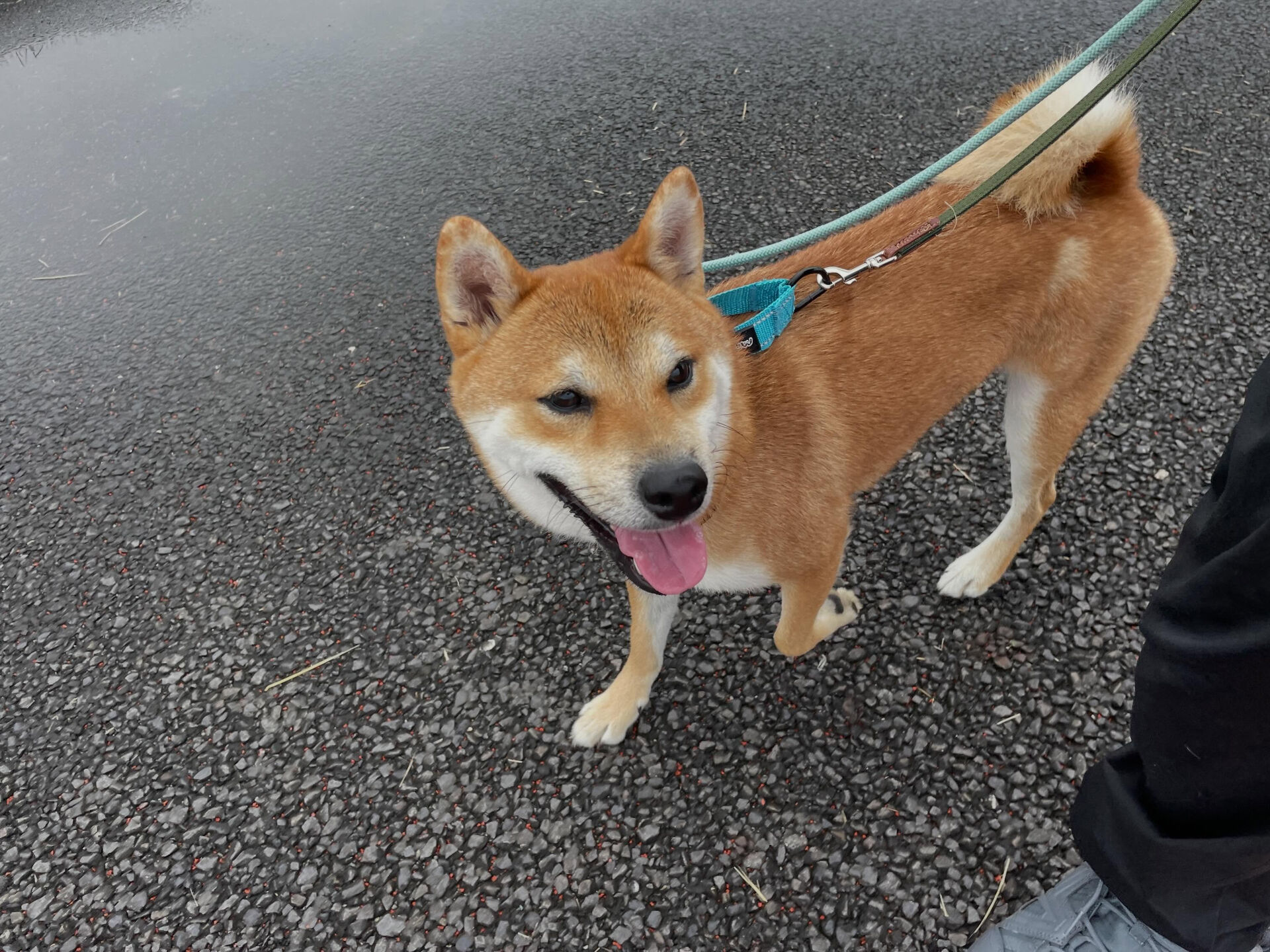 6/26〜6/27のお泊まり