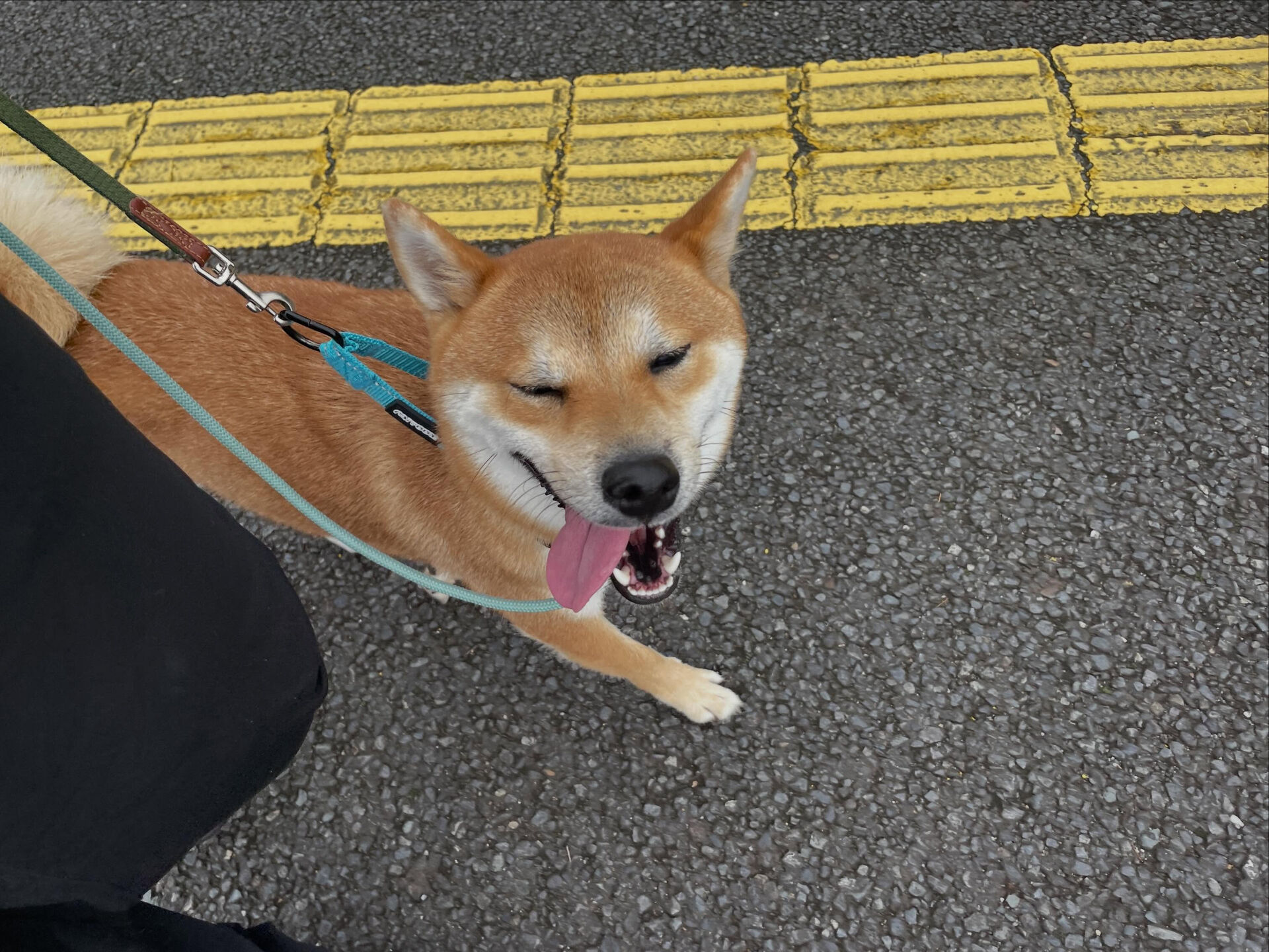 6/26〜6/27のお泊まり
