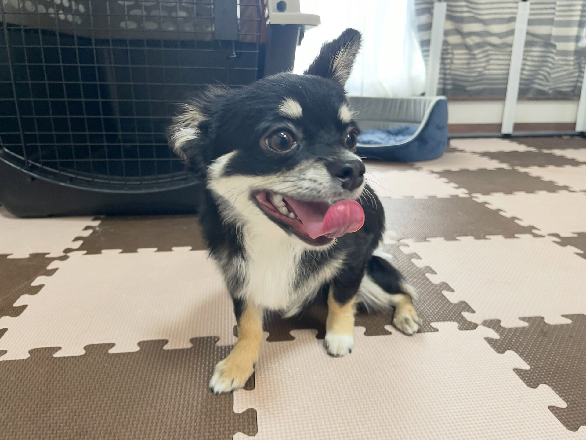 7/3〜7/4のお泊まり