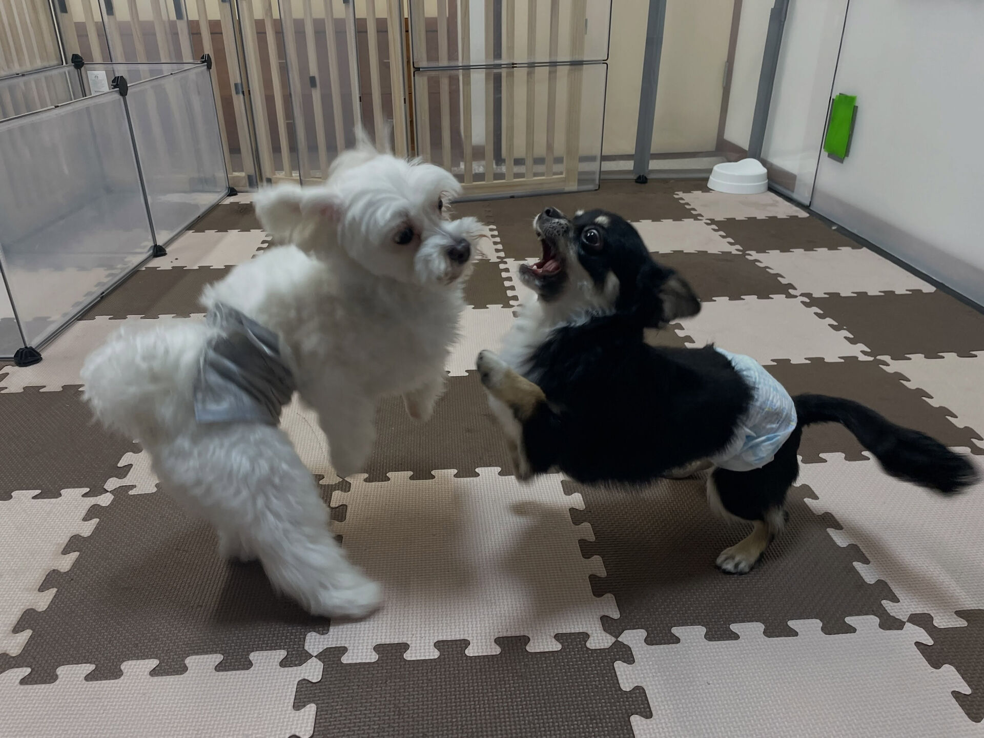 7/3〜7/4のお泊まり