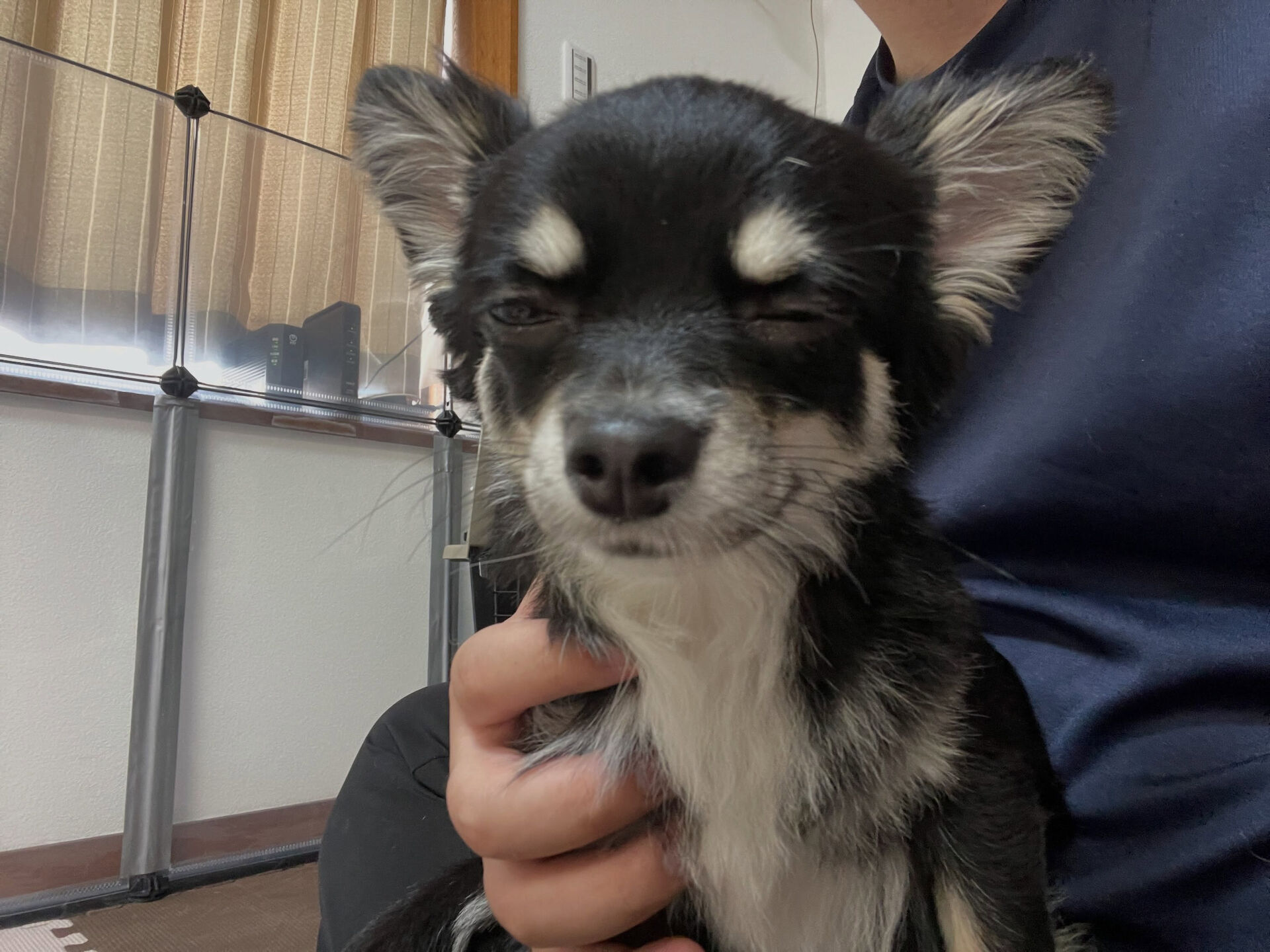 7/3〜7/4のお泊まり