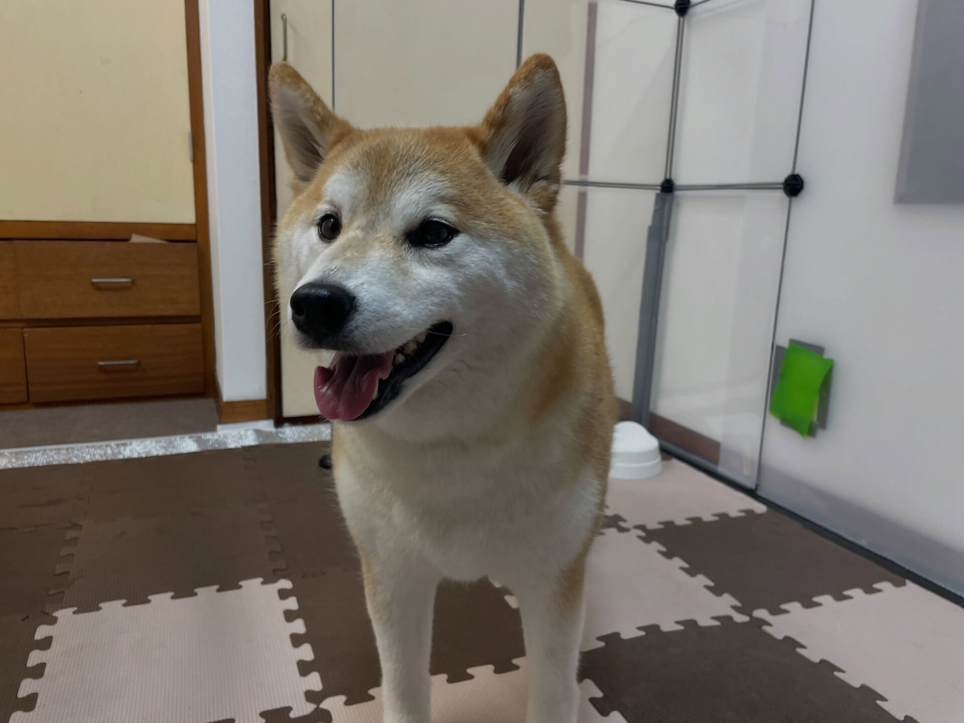 7/6のお預かり