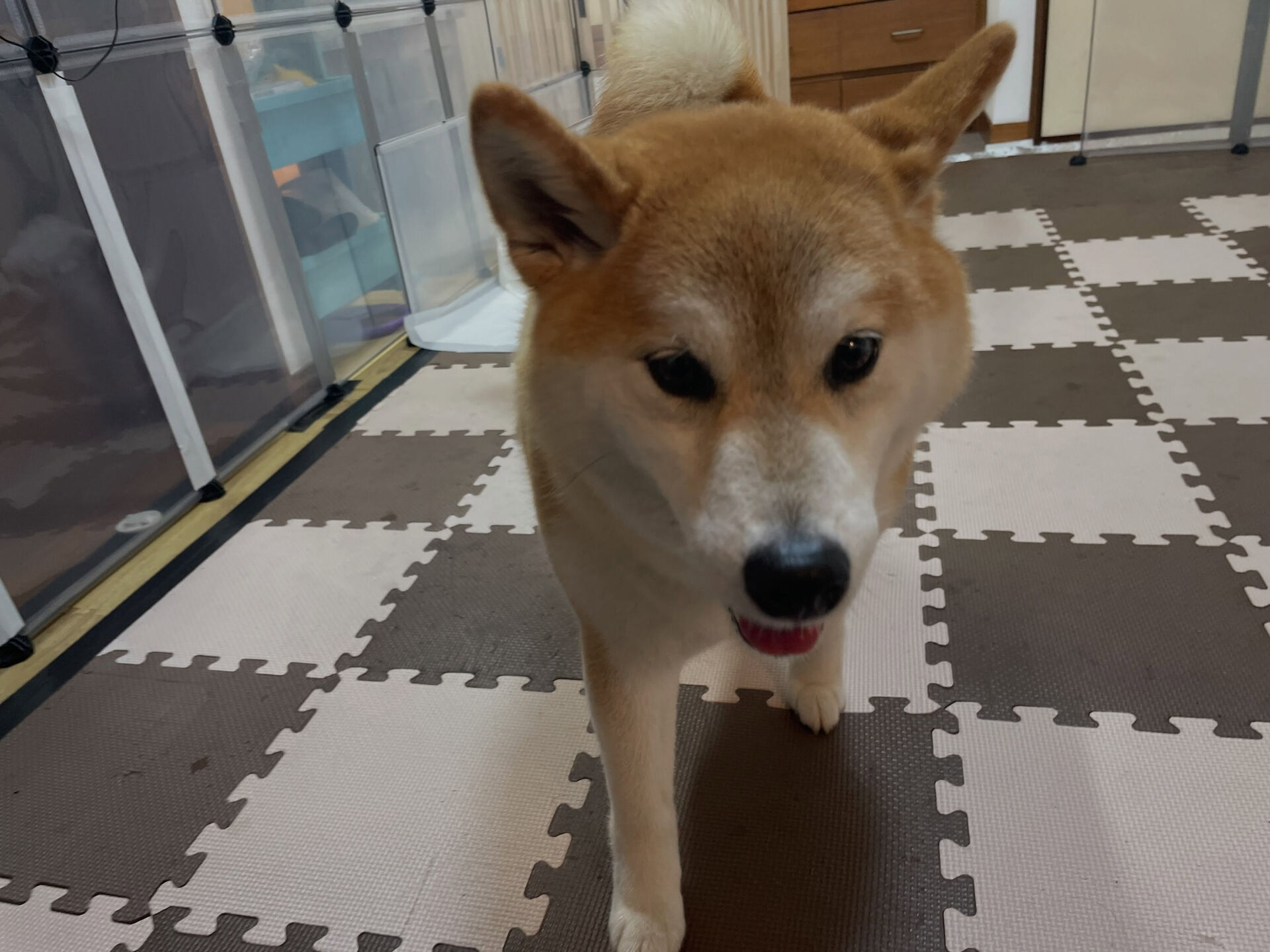 7/6のお預かり