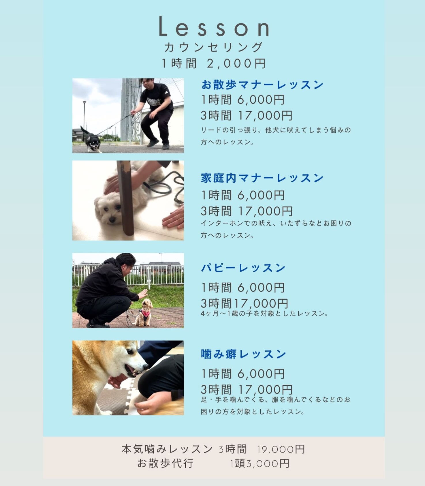🐾レッスンメニュー🐾