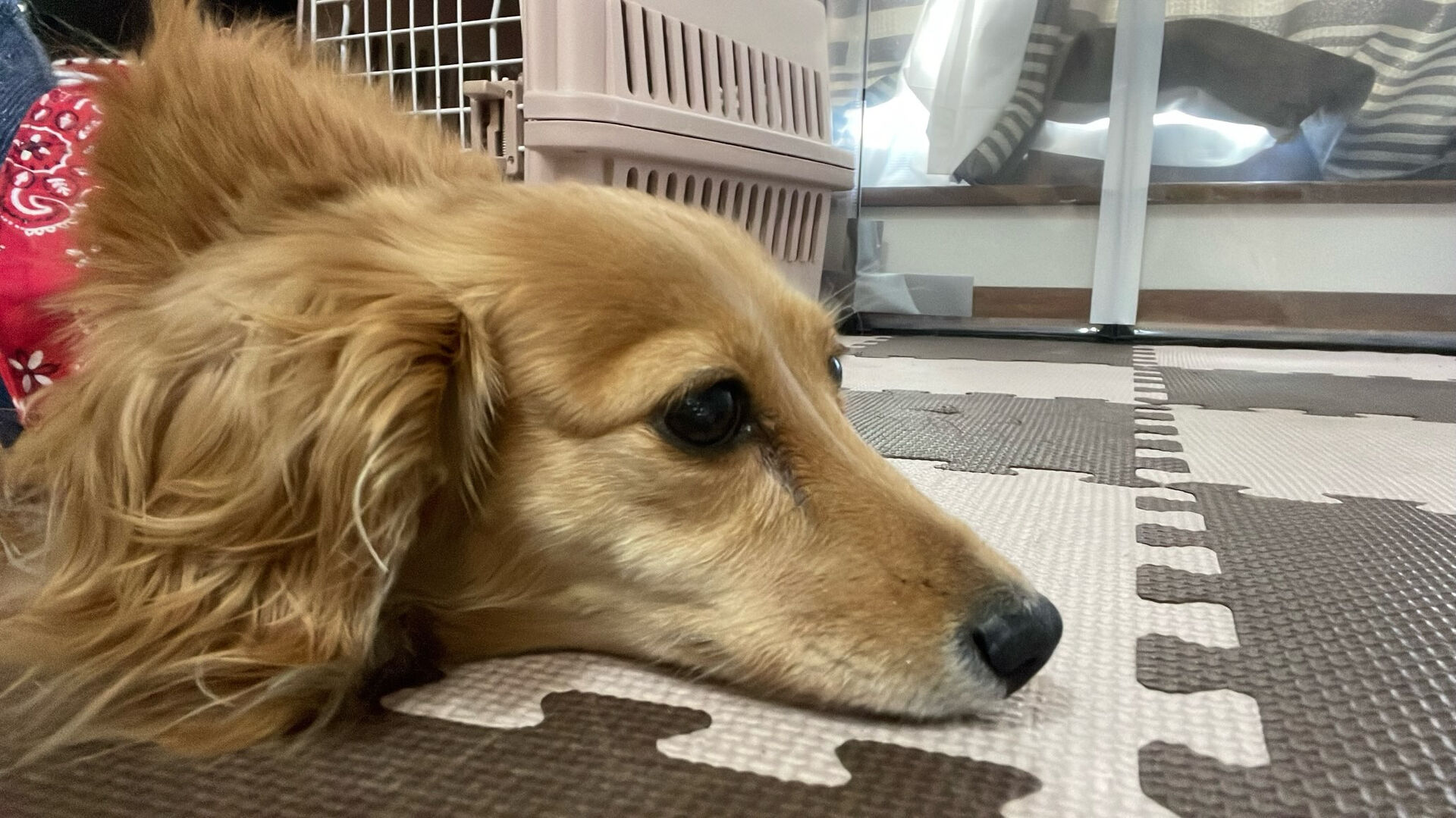 7/22、7/23のお泊まり