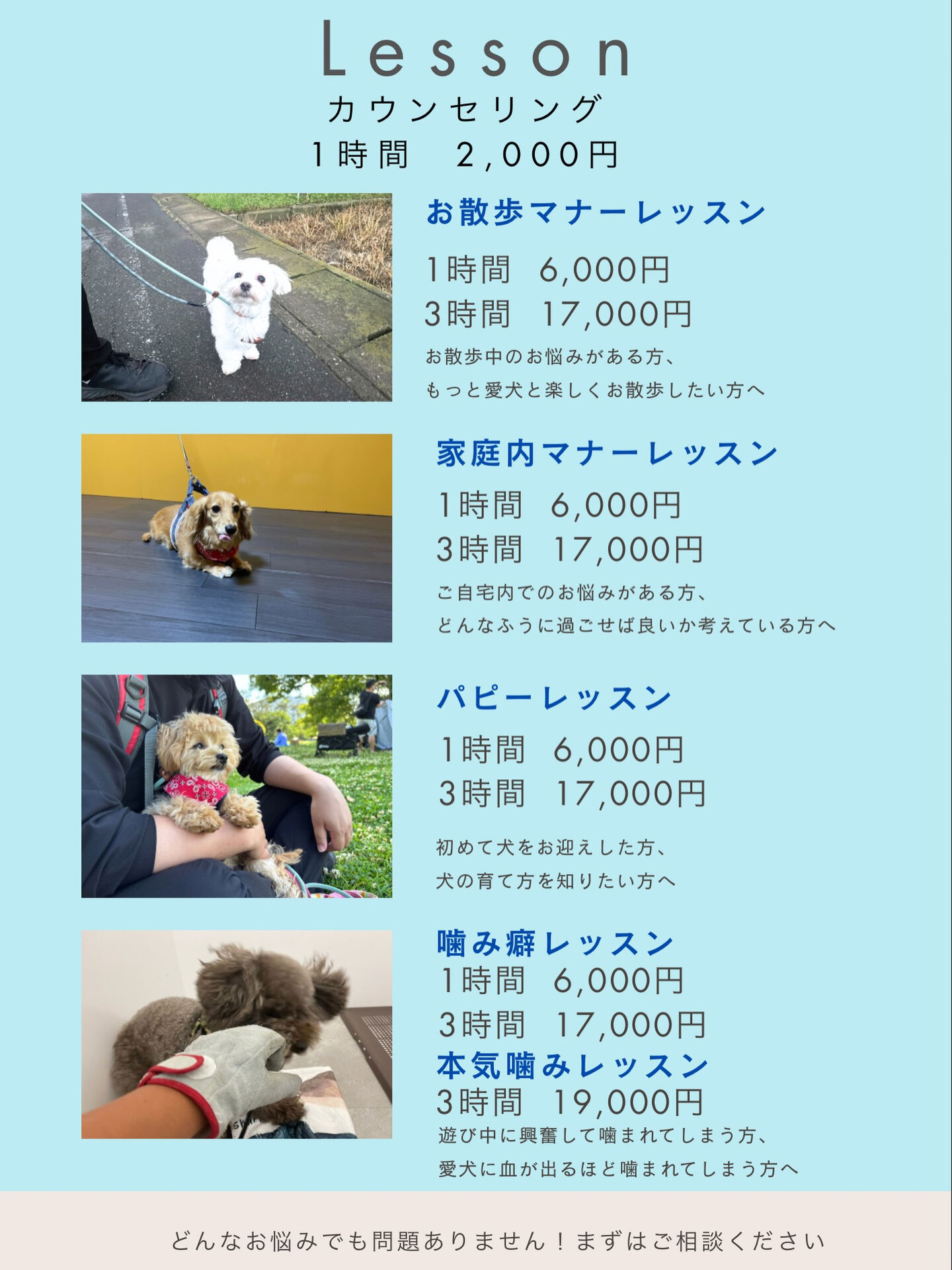 🐾レッスンメニュー🐾‪‪