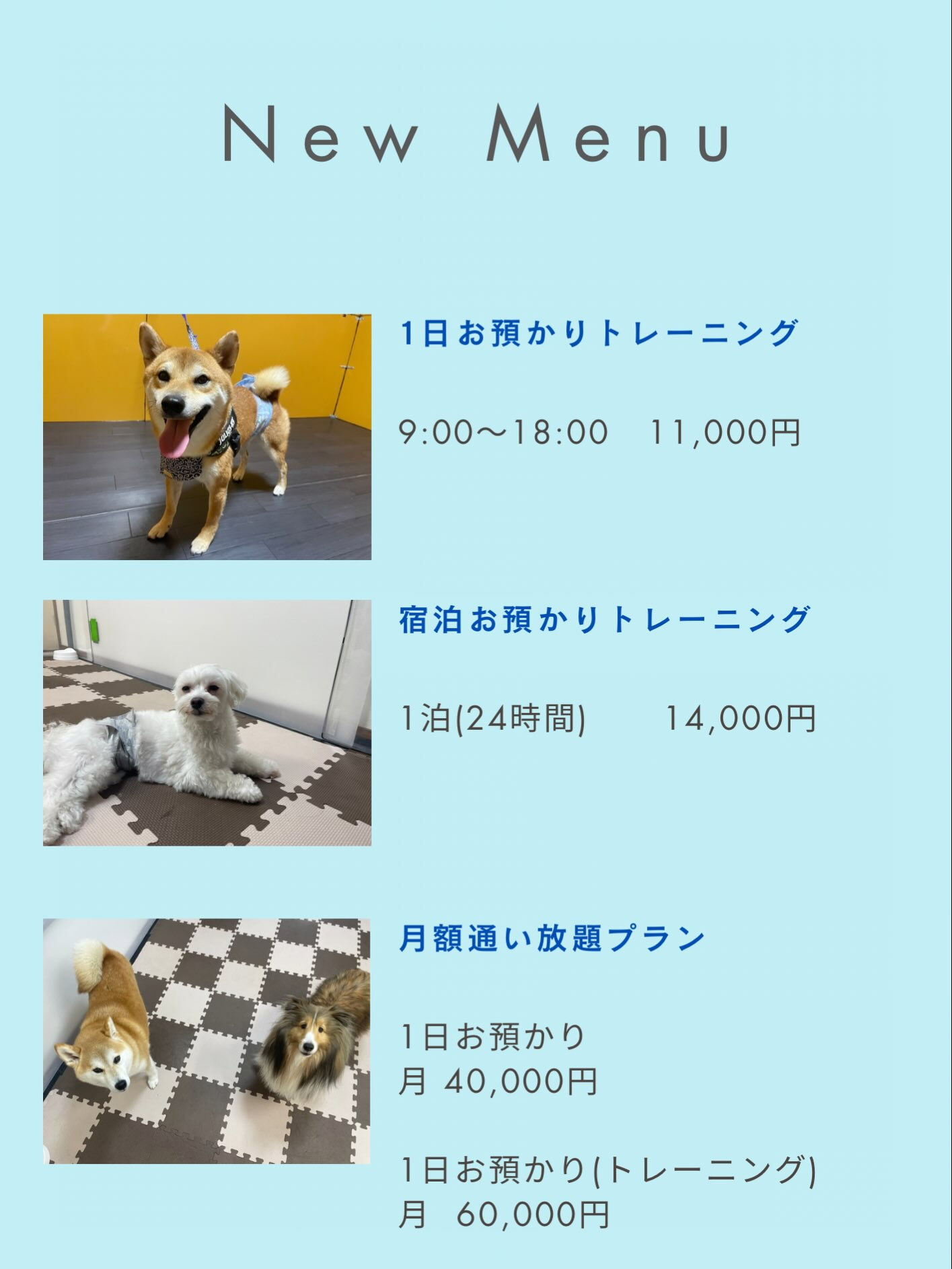 新メニューを追加いたしました🐶✨