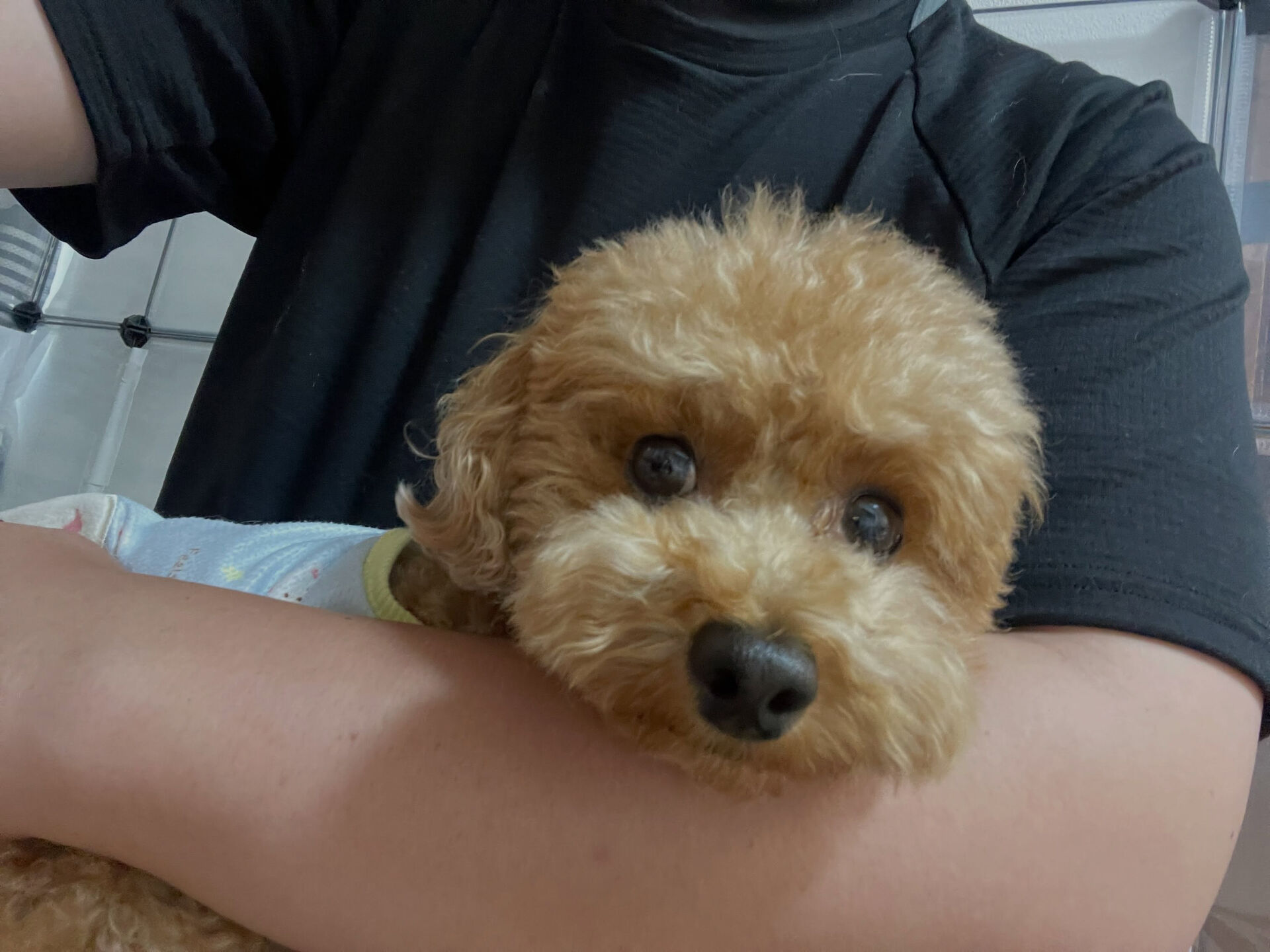 8/6のお預かり🐶✨️